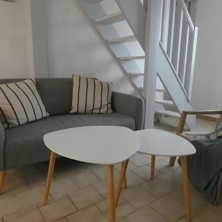 Maison 52M² Pres Plage, 6 Pers, Animaux Admis - Fr-1-540-171