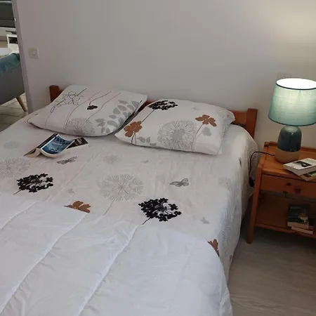 Maison 52m² Pres Plage, 6 Pers, Animaux Admis - Fr-1-540-171 Vakantiehuis *