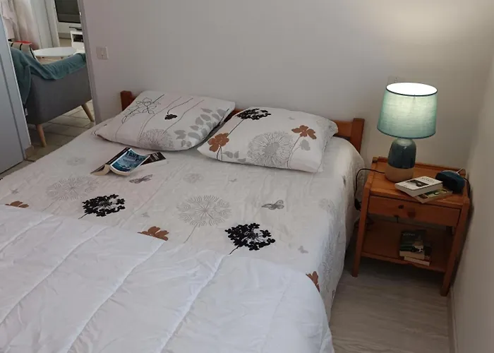 Maison 52m² Pres Plage, 6 Pers, Animaux Admis - Fr-1-540-171 Vakantiehuis *