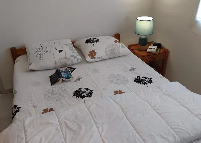 Maison 52m² Pres Plage, 6 Pers, Animaux Admis - Fr-1-540-171 Vakantiehuis